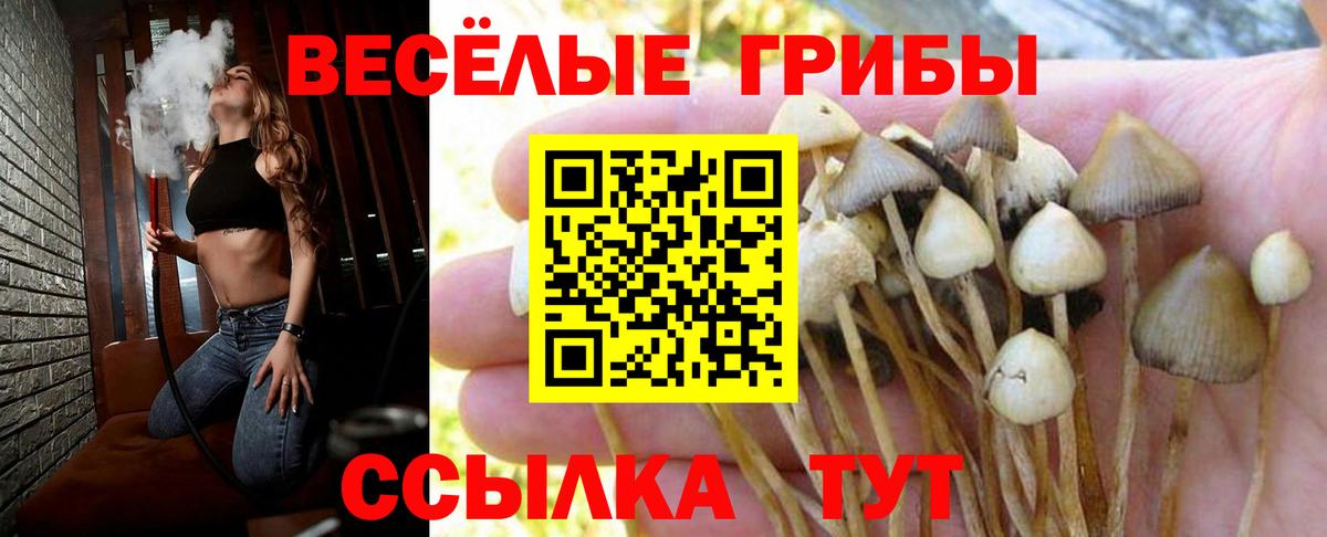 Псилоцибиновые грибы прущие грибы  Вход с VPN  Соликамск  Псилоцибиновые грибы Magic Shrooms 